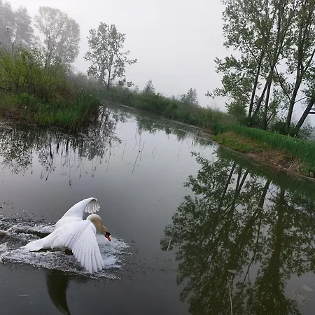 Appartementhotel Rutar Lido Eberndorf
