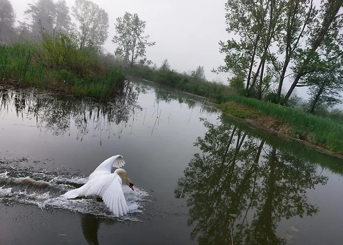 Appartementhotel Rutar Lido Eberndorf
